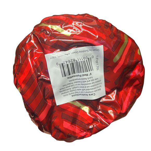 50 NEW Red Gold Christmas Foil Flower Wrappers Plant Pot Covers Wraps Sleeves - Picture 5 of 8